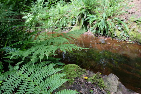Bretagne 2016 photos Claude, DSCF7041