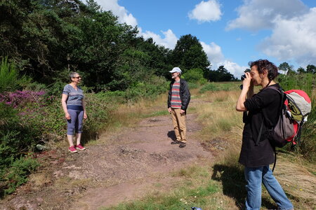 Bretagne 2016 photos Claude, DSCF7063