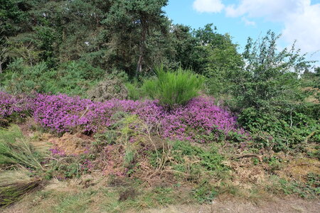 Bretagne 2016 photos Claude, DSCF7064