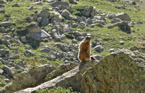 Randonnée du 18/19/07/2016 au refuge des Souffles et au pas de l'Olan, j_DSC02890