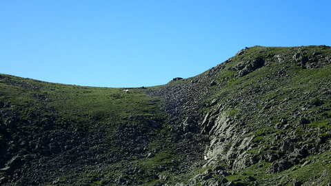 Randonnée du 18/19/07/2016 au refuge des Souffles et au pas de l'Olan, patrice-7190186