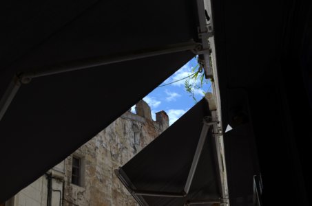 Avignon, avignon02