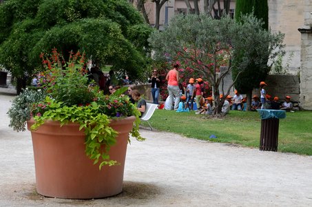 Avignon, avignon08