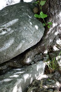 Ardèche, ardeche21