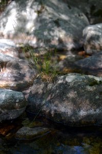 Ardèche, ardeche24