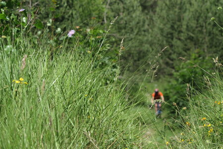 2016-06-28-seminaire-entreprise, alpes-aventure-vtt-seminaire-col-pousterle-fournel-2016-06-19-22