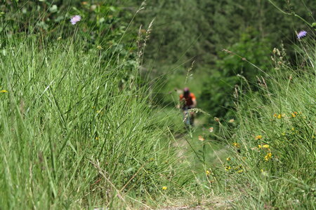 2016-06-28-seminaire-entreprise, alpes-aventure-vtt-seminaire-col-pousterle-fournel-2016-06-19-24