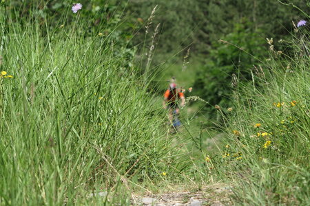 2016-06-28-seminaire-entreprise, alpes-aventure-vtt-seminaire-col-pousterle-fournel-2016-06-19-26