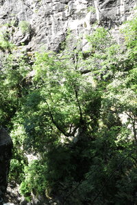 2016-06-28-seminaire-entreprise, alpes-aventure-via-ferrata-seminaire-gorges-ailefroide-2016-06-21-070