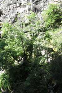 2016-06-28-seminaire-entreprise, alpes-aventure-via-ferrata-seminaire-gorges-ailefroide-2016-06-21-071