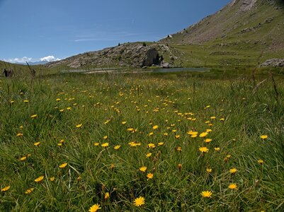 randonnée du 2/08/2016 au lac de l'Hivernet, P8020038  Copier 