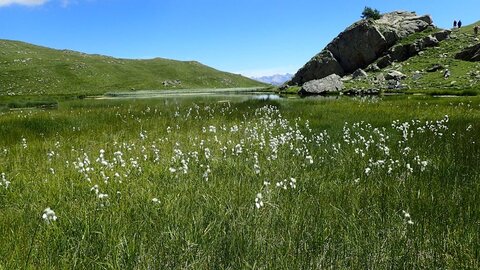 randonnée du 2/08/2016 au lac de l'Hivernet, patrice-8020318