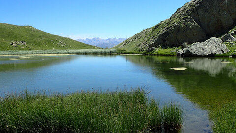 randonnée du 2/08/2016 au lac de l'Hivernet, patrice-8020321