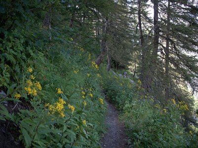 Randonnée du 7/08/2016 au col de la Béranne et aux lacs de Pétarel, P8070101  Copier 