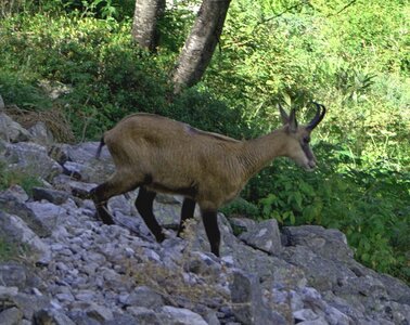 Randonnée du 7/08/2016 au col de la Béranne et aux lacs de Pétarel, P8070115  Copier 