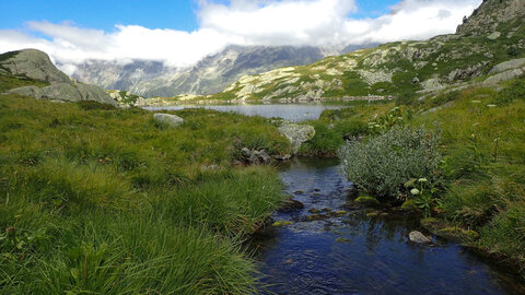 Randonnée du 7/08/2016 au col de la Béranne et aux lacs de Pétarel, patrice-8070098