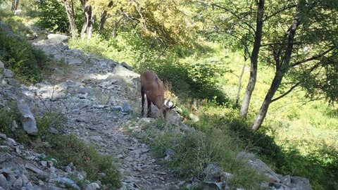 Randonnée du 7/08/2016 au col de la Béranne et aux lacs de Pétarel, patrice-8070112