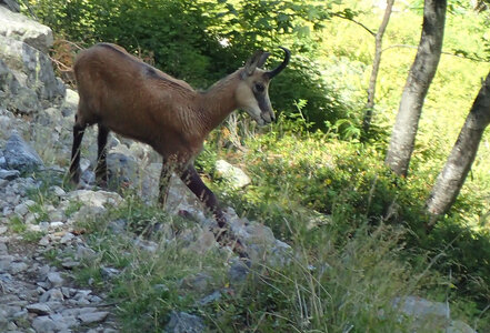 Randonnée du 7/08/2016 au col de la Béranne et aux lacs de Pétarel, patrice-8070113