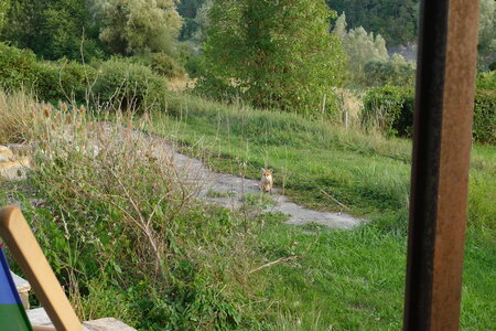 Le visiteur du soir, P1100429