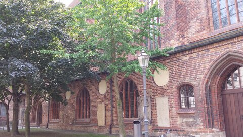 Berlin Juin 2016, Nikolaikirche 08