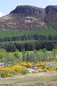 ecosse 2016, IMG_1076