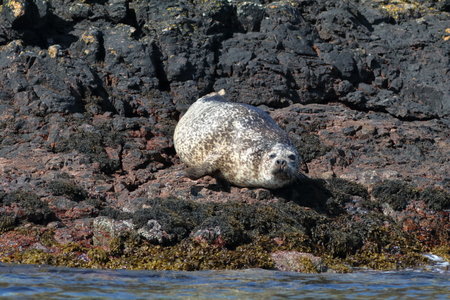 ecosse 2016, IMG_1248