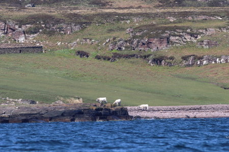 ecosse 2016, IMG_1282