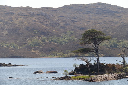 ecosse 2016, IMG_1362