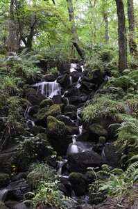 Ecosse, ecosse20-cascade