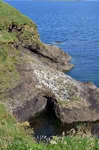 Ecosse, ecosse40-staffa15