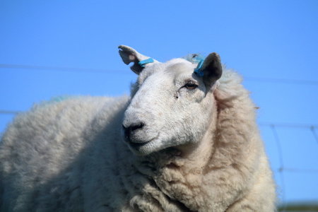ecosse 2016, IMG_1442
