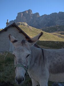 Randonnée du 14/08/2016 à la tête de la Frema, P8140045  Copier 