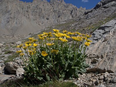 Randonnée du 14/08/2016 à la tête de la Frema, P8140083  Copier 
