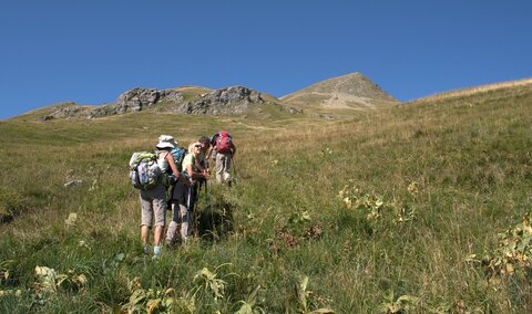 Randonnée du 16/08/2016 au col de la Coupa, P8160010  Copier 