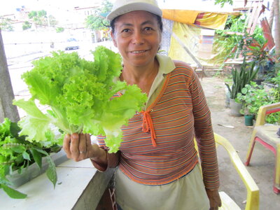 Brasil, Visite d'un projet d'agriculture urbaine dans une favela