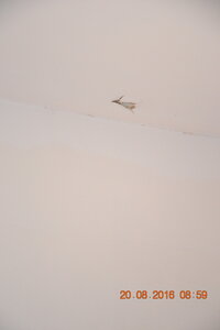 ansouis, DSC_6759