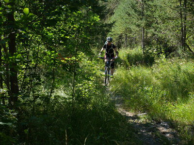 2016-08-12-18-multiactivité-pays-ecrins, alpes-aventure-VTT-puy-saint-vincent-vallon-fournel-2016-08-13-020