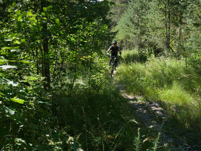 2016-08-12-18-multiactivité-pays-ecrins, alpes-aventure-VTT-puy-saint-vincent-vallon-fournel-2016-08-13-048