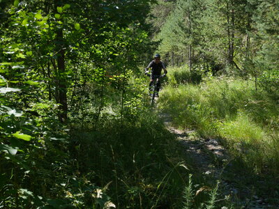 2016-08-12-18-multiactivité-pays-ecrins, alpes-aventure-VTT-puy-saint-vincent-vallon-fournel-2016-08-13-049