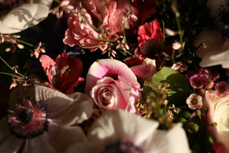 Mariage, IMG_0009