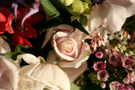 Mariage, IMG_0001