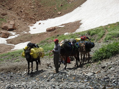 Damavand - Juillet 2016, DSCN3107