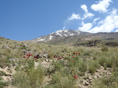 Damavand - Juillet 2016, DSCN3279