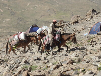 Damavand - Juillet 2016, DSCN3307