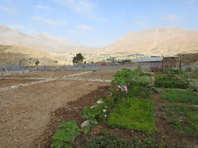 Damavand - Juillet 2016, DSCN3410