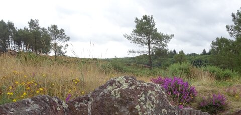 Bretagne 2016 Album Francine , DSC04209