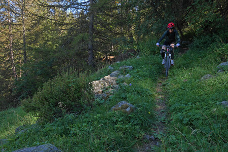 2016-08-22-VTT-enduro-Ecrins, alpes-aventure-VTT-enduro-ecrins-ecrins-2016-08-22-03