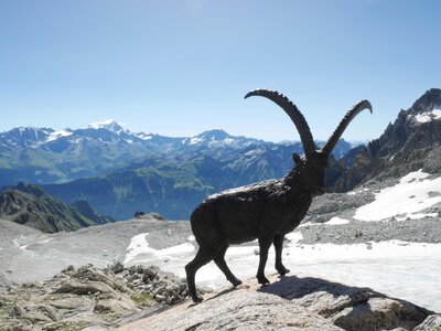 2016-08-07-12-chamonix-ferpecle, alpes-aventure-alpinisme-glacier-tour-trient-2016-08-08-65