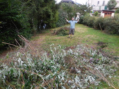 2016 Rénovation corps de ferme, Travaux  87 