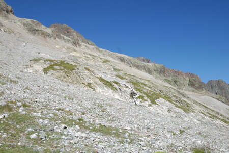 2016-08-25-Dents-Coste-Counier, alpes-aventure-alpinisme-dents-coste-counier-2016-08-26-83